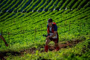 BIB: 
                            <button type="button" onclick="openModal(19160739)" class="btn btn-primary btn-sm float-right btn-popup" data-toggle="modal" data-target=".modal-high-quality">
                        <i class="fas fa-shopping-cart"></i> Add to Cart
                    </button>
                                            <button type="button" onclick="isThisMe(19160739, true)" class="btn btn-success btn-sm float-right btn-popup btn-isme hidden" data-toggle="tooltip" data-placement="bottom" title="นี่คือรูปของคุณใช่ไหม คลิกที่นี่เพื่อเอาเข้าอัลบั้ม">
                        <i class="fas fa-plus"></i> Add to album
                    </button>
                    <button type="button" onclick="isThisMe(19160739, false)" class="btn btn-warning btn-sm float-right btn-popup btn-isnotme hidden">
                        <i class="fas fa-ban"></i> Remove from album
                    </button>